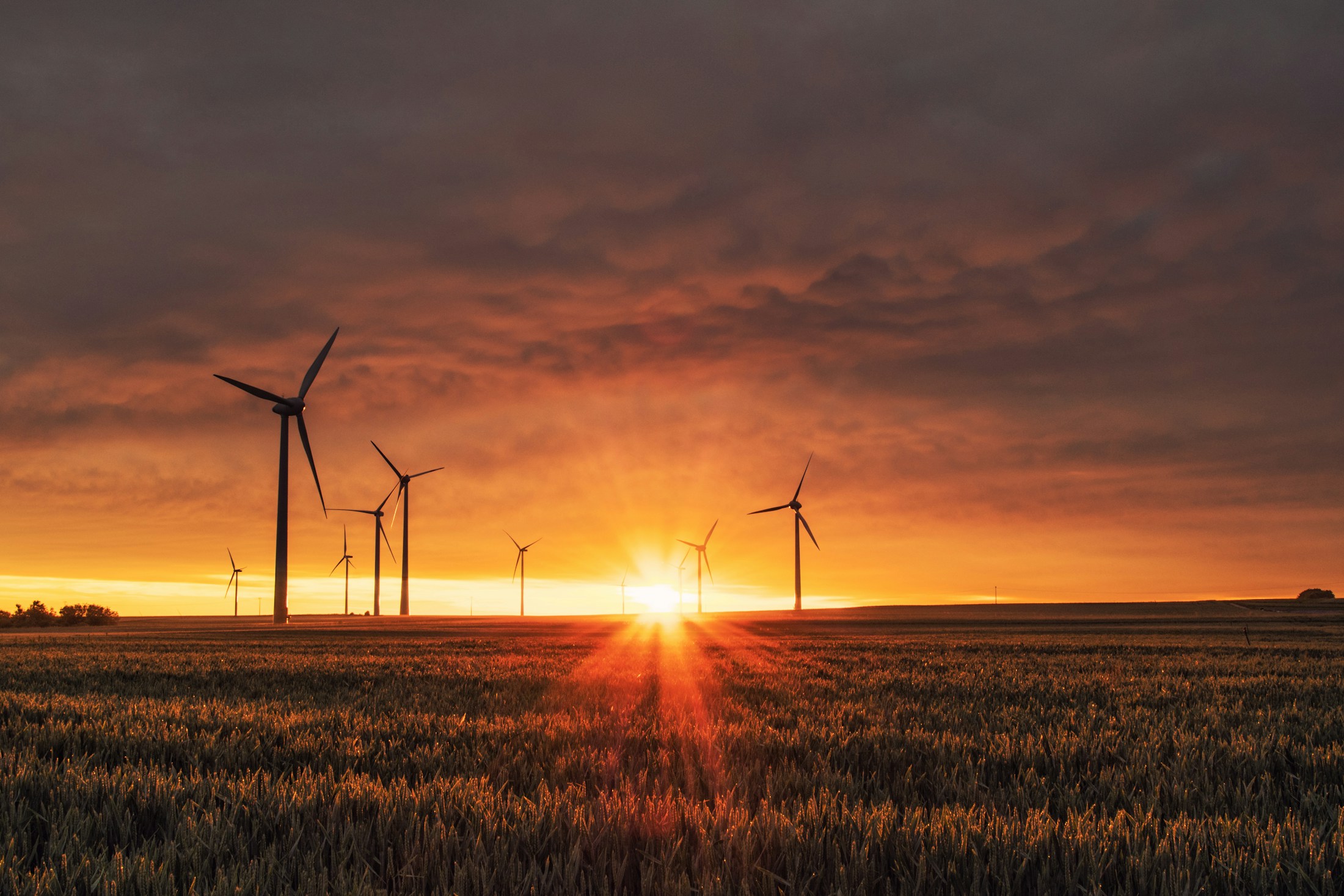 Wind turbines across open countryside at sunset